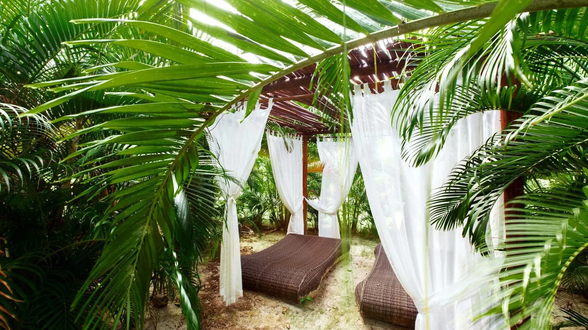 Tropicana Suites Deluxe Beach Club And Pool - Playa Los Corales Punta Cana
