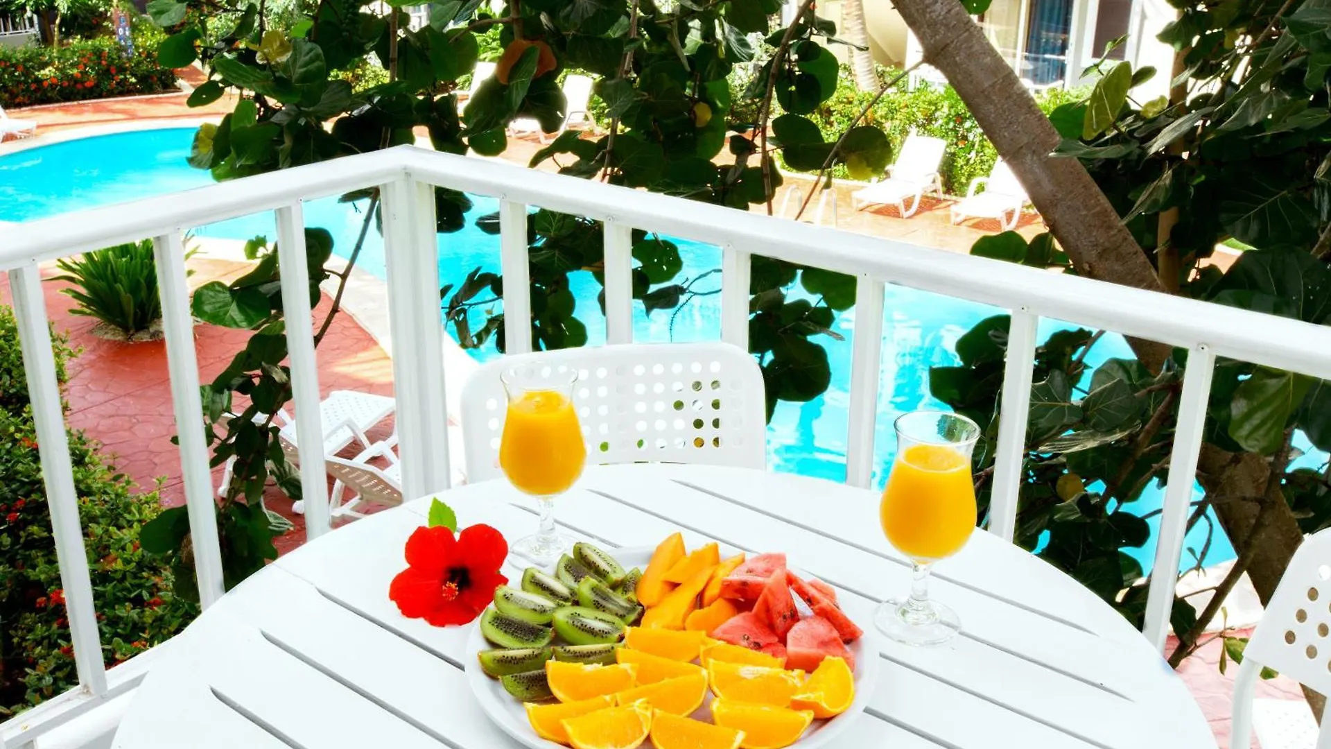 ***** 酒店 Tropicana Suites Deluxe Beach Club And Pool - Playa Los Corales 蓬塔卡纳 多米尼加共和国